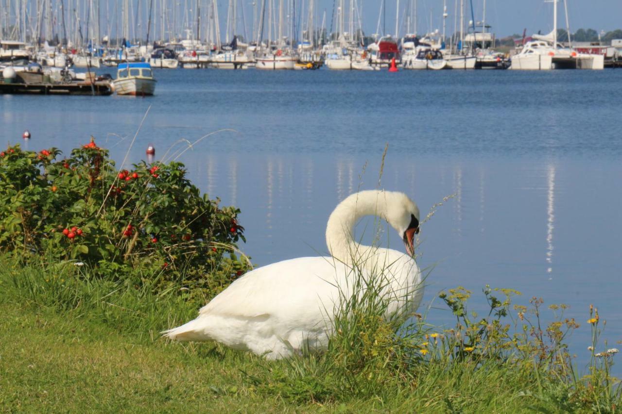 Burgtiefe auf Fehmarn 2Zi-Ferienwohnung Am Suedstrand Mit Eigenem Parkplatz Perfekt Fuer Familie מראה חיצוני תמונה